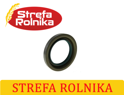 USZCZELNIENIE CASE IH 3232605R1 