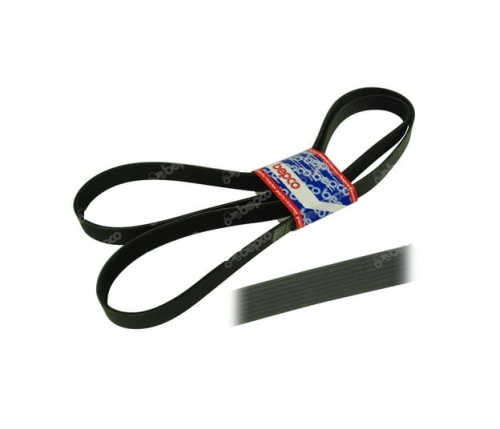 PAS KLINOWY 8 PK X 2560 CLAAS 6030 6930PR (Europe) 7030 7430PR (Europe) 7430PR (North America) 7530PR (Europe)