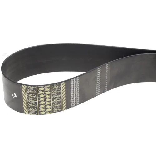 PAS KLINOWY (80230079) - NAPĘD BĘBNA