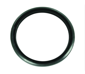 USZCZELNIENIE CASE IH 11716620, 219000472, 3688381M1, 6194017M1, CA0120717, N014367, N14367