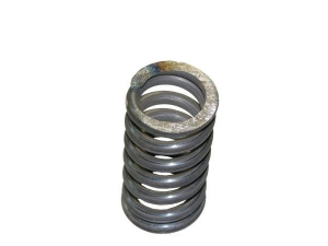 Sprężyna 5040250310 Bizon