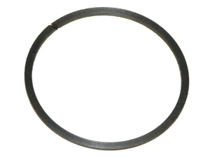 Pierścień uszczelniający przekładni bezstopniowej Bizon