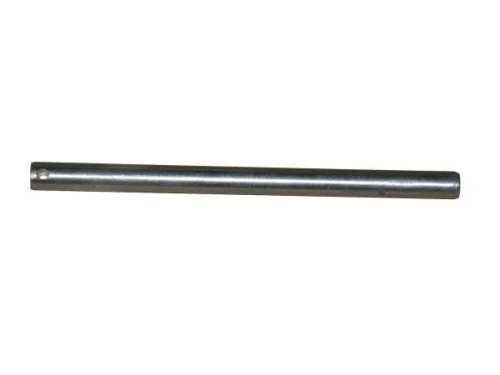 Palec ślimaka Bizon-7463