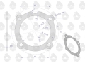 Uszczelka pompy wtryskowej krążelit 0.8mm C-330 ( sprzedawane po 10 ) ORYGINAŁ URSUS-66171