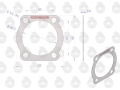 Uszczelka pokrywy przystawki krążelit 0.8mm Zetor ( sprzedawane po 10 ) ORYGINAŁ URSUS-66322