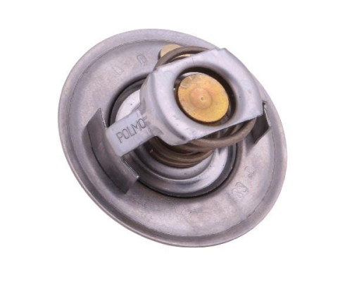 Termostat 6005012123 RENAULT POLMO-66399