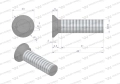 Śruba kpl. płużna dwunoskowa M14x40 mm kl.12.9 Waryński ( sprzedawane po 25 )-68588