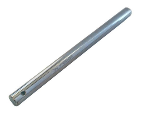 Palec ślimaka Bizon Waryński ( sprzedawane po 5 )-66816
