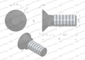 Śruba kpl. płużna podsadzana D 608 M10x30 mm kl.10.9 Waryński ( sprzedawane po 25 )-67676