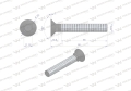 Śruba kpl. płużna podsadzana D 608 M12x80 mm kl.10.9 zastosowanie Gruber Waryński ( sprzedawane po 25 )-67768