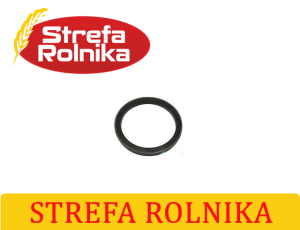 USZCZELNIACZ CASE IH C55, C60, C64, C70, CS48, CS52, CS58, CS63, CS68, CS75, CS78 , CS86, CS94 (133741034)