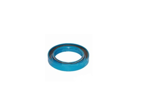 USZCZELNIACZ PTO CASE 1255, 1455 04342932, 3234526R1