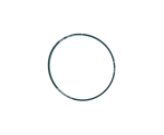 ORING USZCZELNIACZ PIERŚCIEŃ 5136567 (NEW HOLLAND TM115 , TM120 , TM125 , TM130 , TM135 , TM140 , TM150 , TM155 , TM165, TM110)