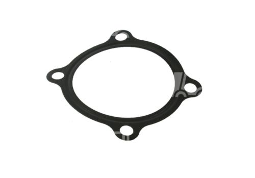 USZCZELKA EGR NEW HOLLAND TD5, CASE FARMALL DPF, STEYR 504387920