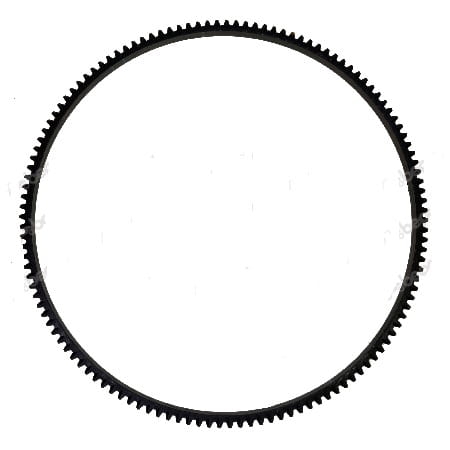 4895353.jpg