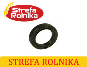 USZCZELNIACZ WAŁKA ATAKUJĄCEGO 40X60X11 CASE 644, 744, 844, 844S, 745, 1046, 1246, 946, 1055, 1255, 1455, 955, 1056, 856, 956, 743 (01026454, 04341193, 1927189ZP, 3223862R1, 4341193, AL37300)